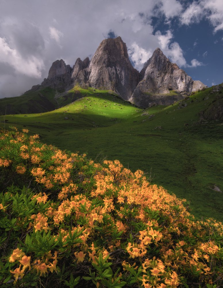 Цветущий Кавказ.