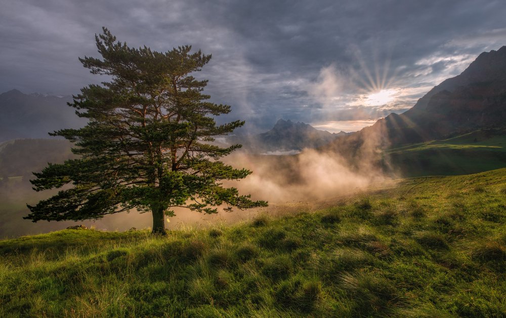 Заповедник Эрзи.