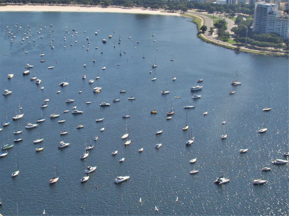 Фотография автора OSMIR ZANETTE