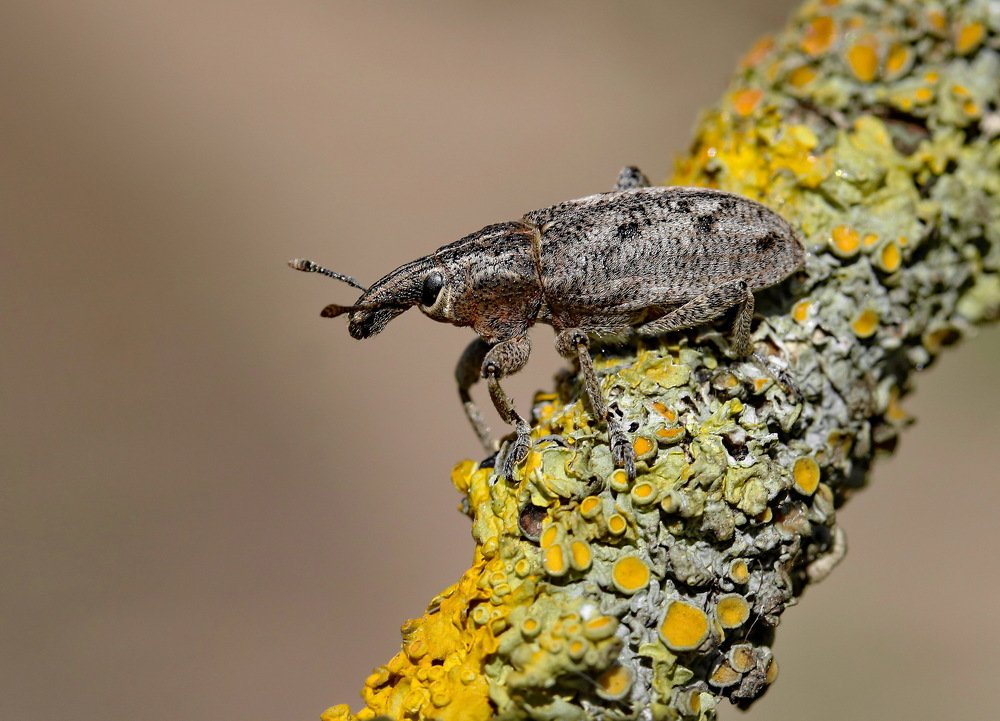 Photograph by Игорь Осипов