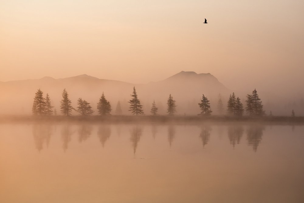 Наедине с тишиной.