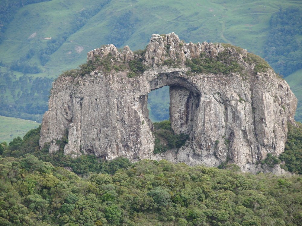 Фотография автора OSMIR ZANETTE