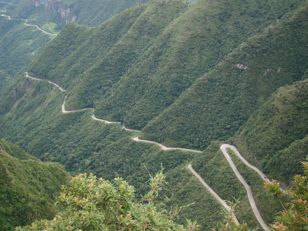 Фотография автора OSMIR ZANETTE