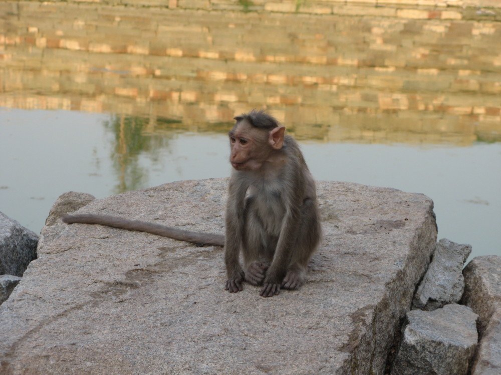 Photograph by Ирина Кулагина