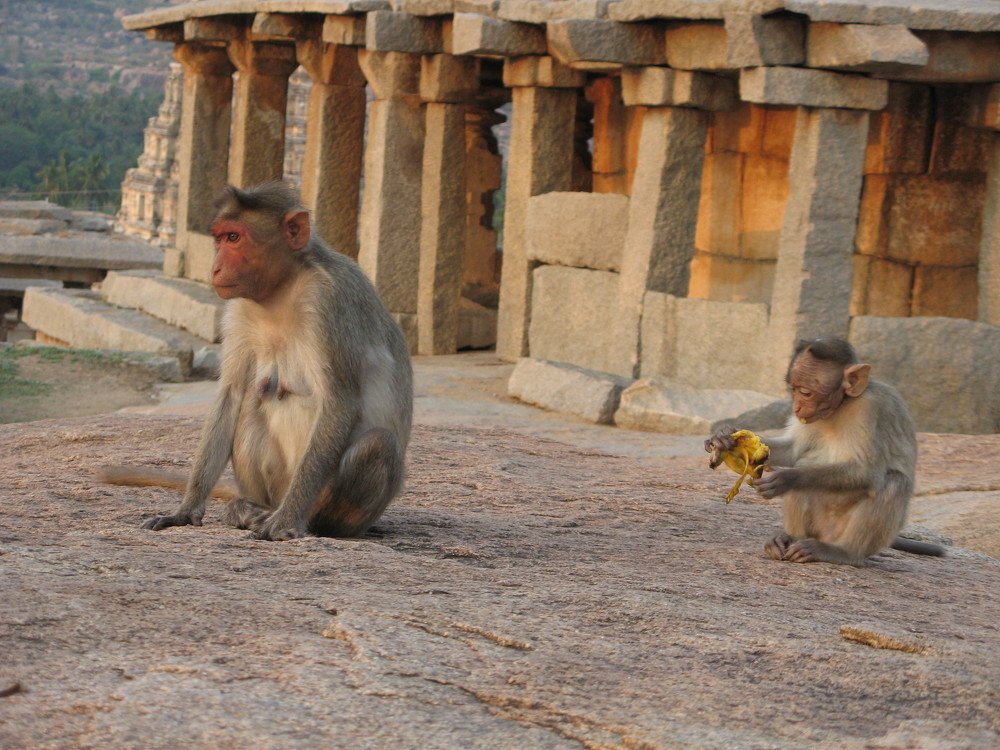 Photograph by Ирина Кулагина