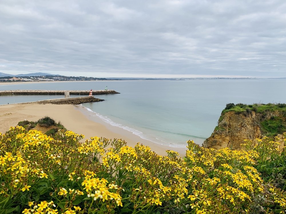 Photograph by Olga Pereira