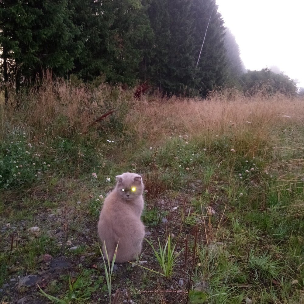 Photograph by нина кутчиева