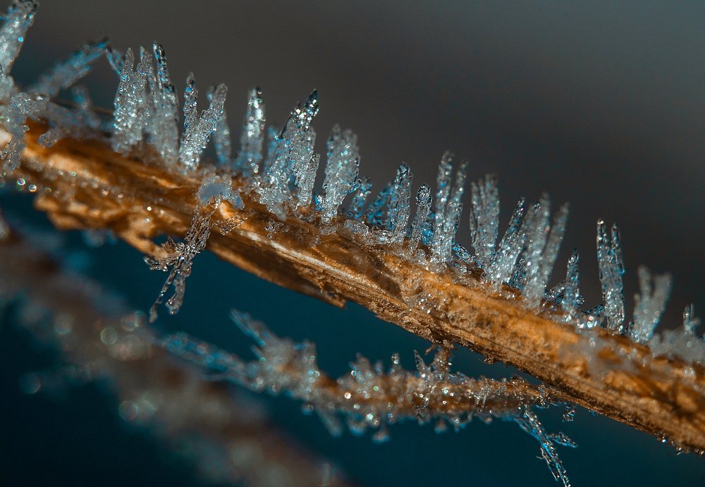 Photograph by Serhij Kharchenko