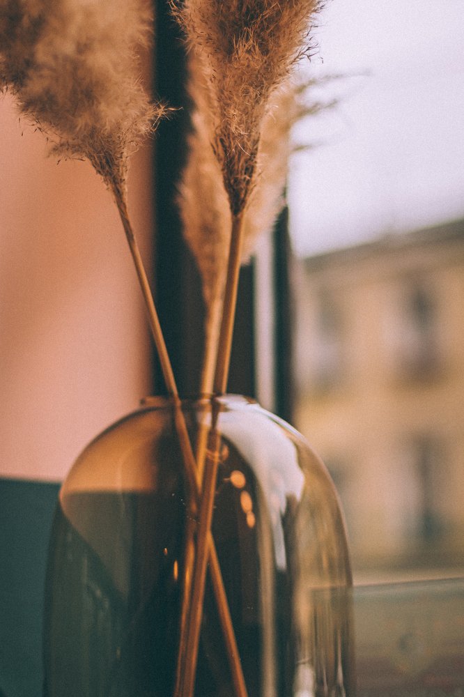 Photograph by Александр