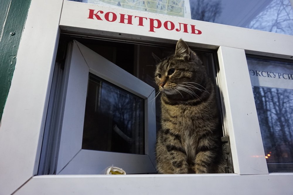 Photograph by нина кутчиева