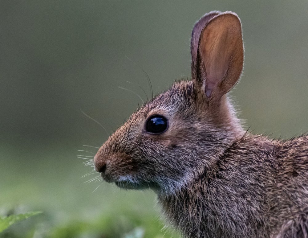 Photograph by JAMES BAILEY