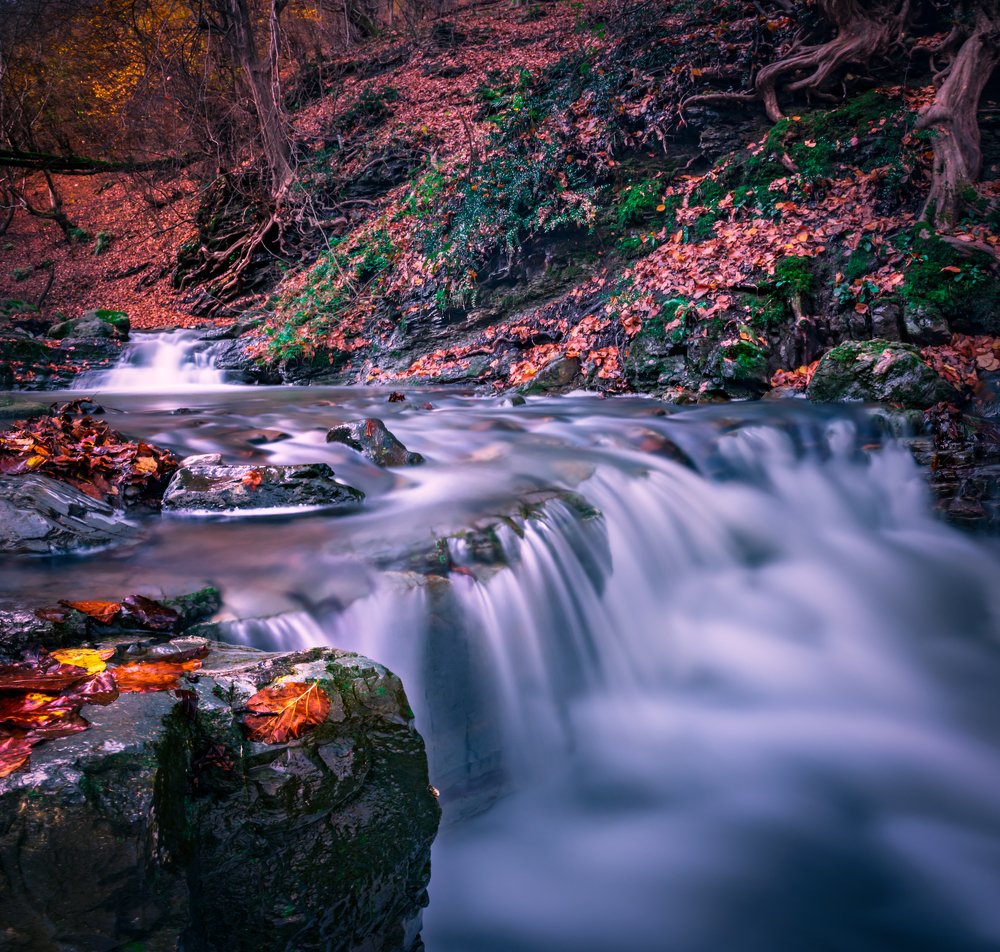 Photograph by Seyad Sajad Mirrahimi Daryasari