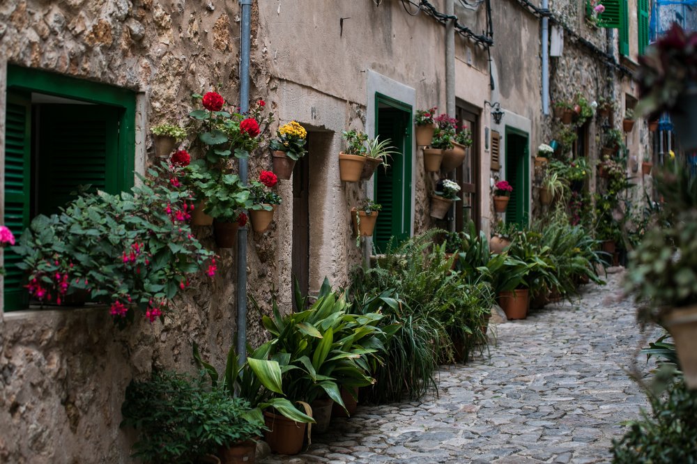 Photograph by ANASTASIIA LOMAEVA