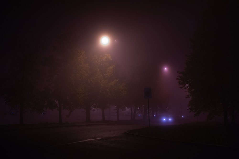 Photograph by ANASTASIIA LOMAEVA