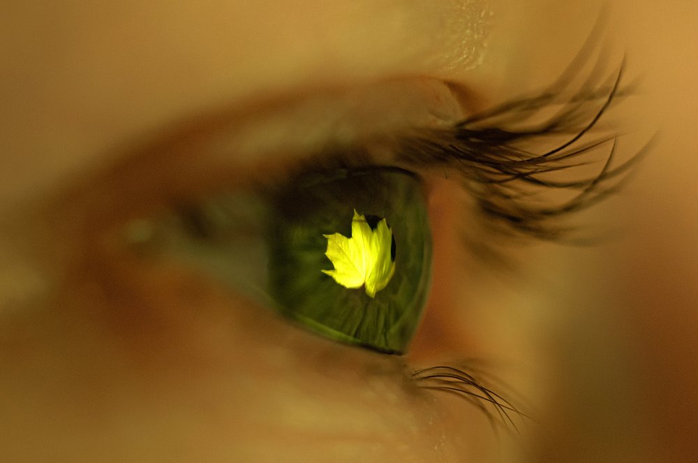 Photograph by Владимир Коновалов