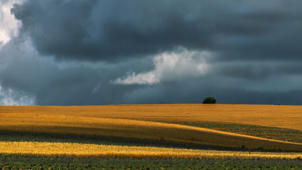 Фотография автора Александра Елагина