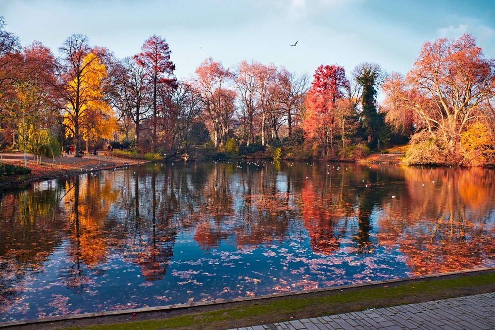 Последние дни осени