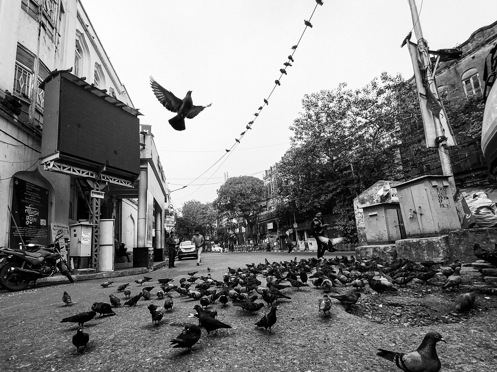 Photograph by Abhinandan Naskar