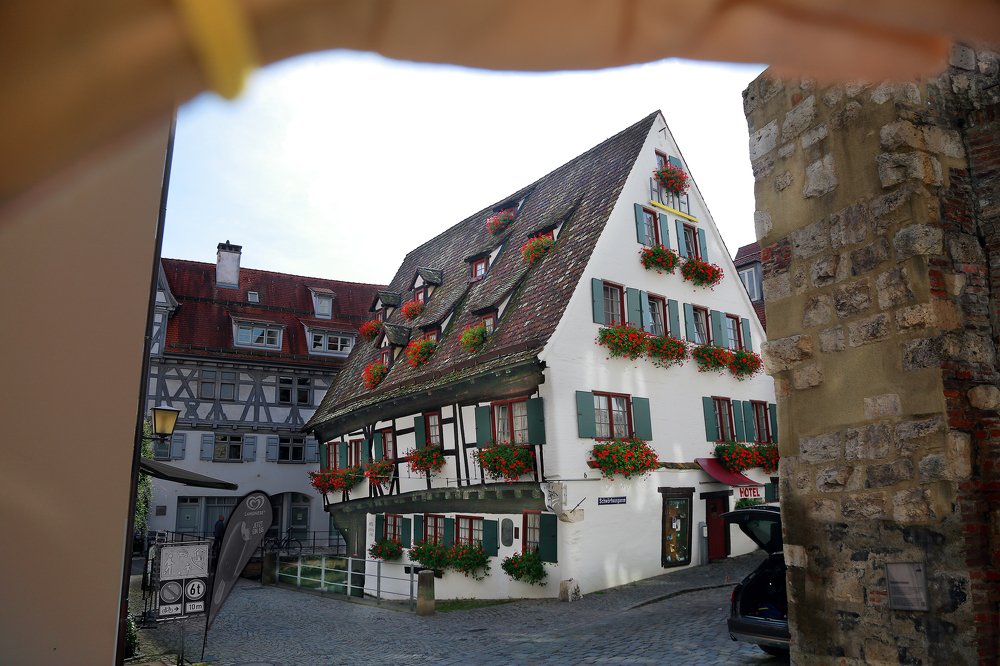 Кривое настоящее