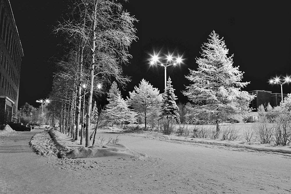 Город в инее