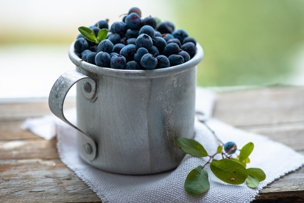 Photograph by Кадырова Марина