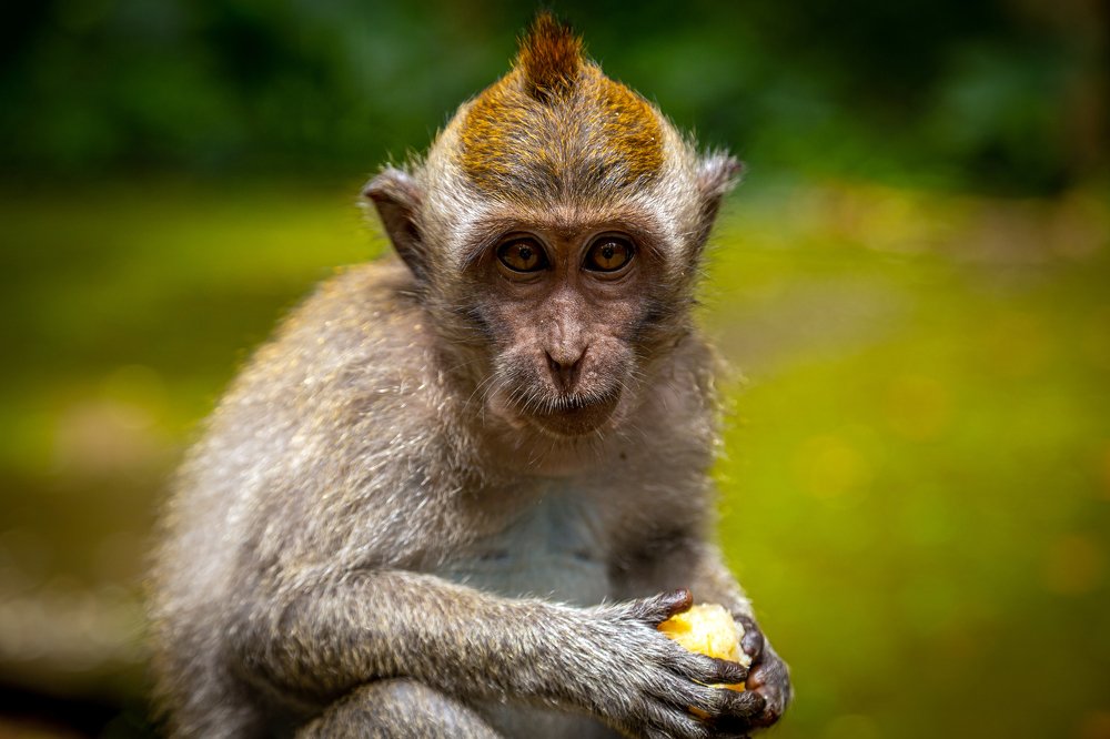 Photograph by Александр Балберов