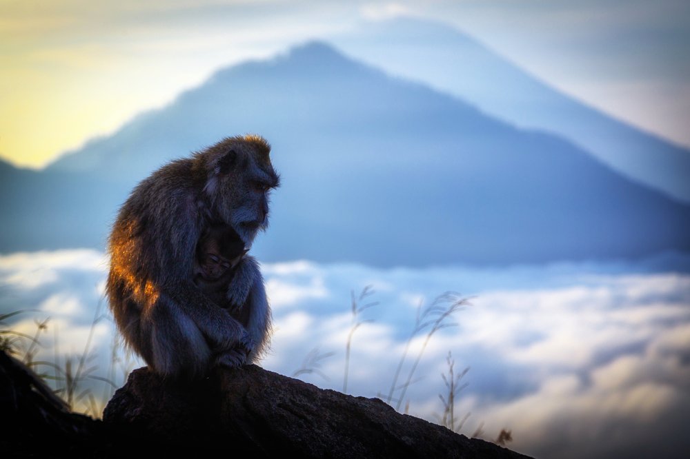 Photograph by Александр Балберов