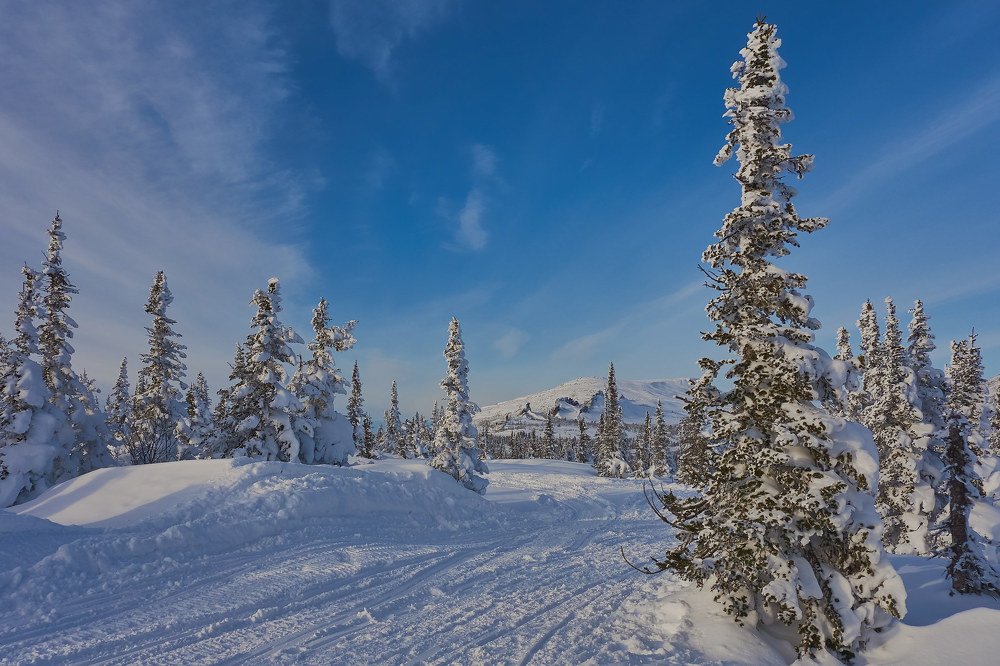 Photograph by Алексей Приешкин