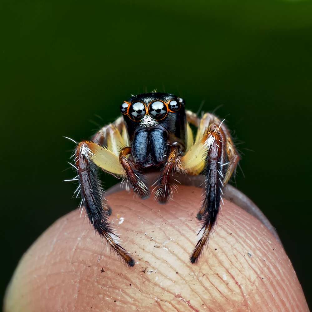 Photograph by VOON YIAN KHIAM