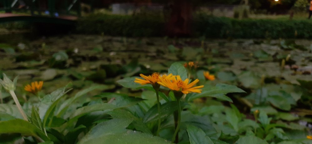 Photograph by Vivek Gajjar