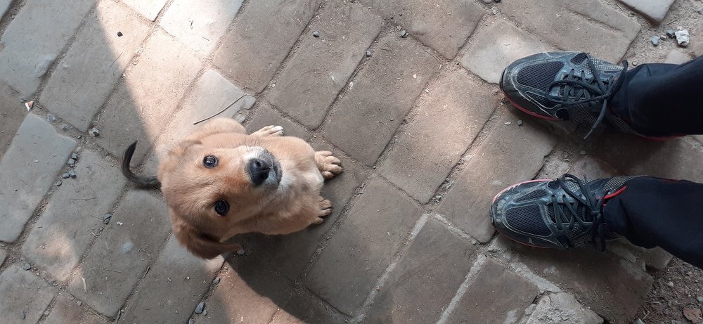 Photograph by Vivek Gajjar