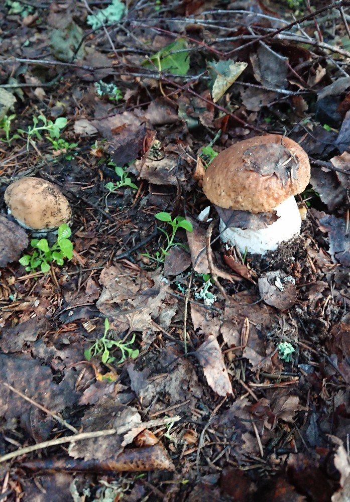 Photograph by Эдгар Амирханян