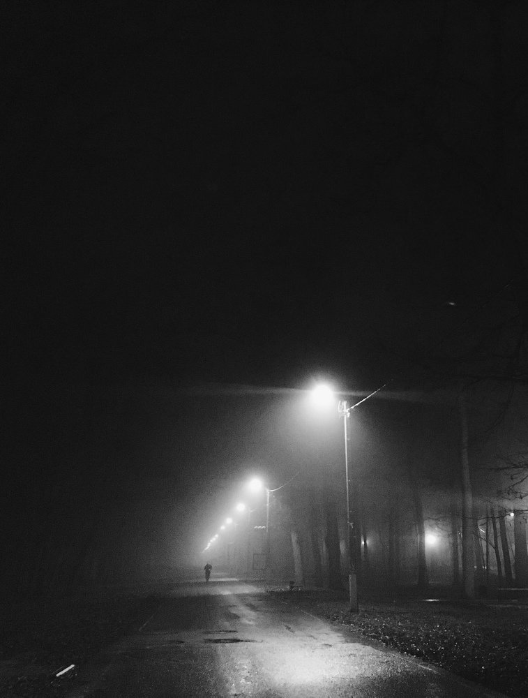 Photograph by Брагина Дарья