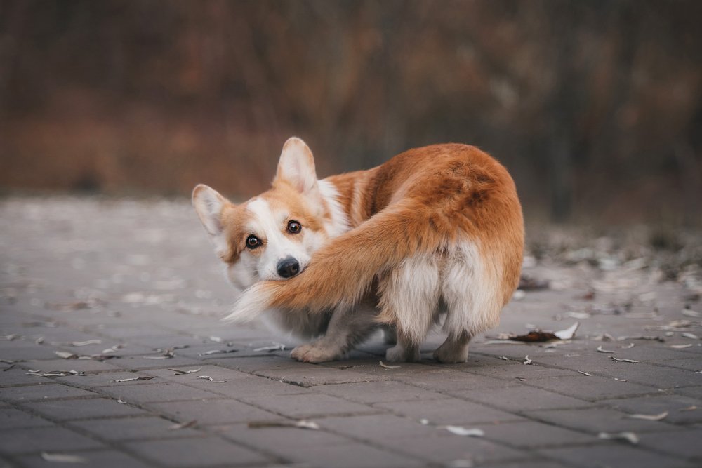 Photograph by Мария Иванушкина