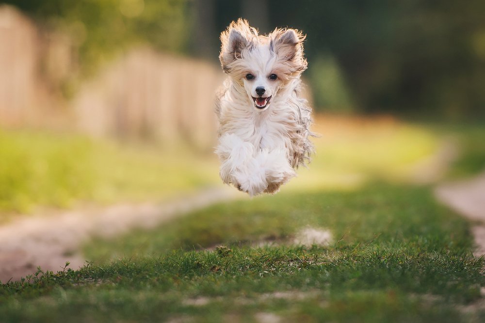 Photograph by Мария Иванушкина