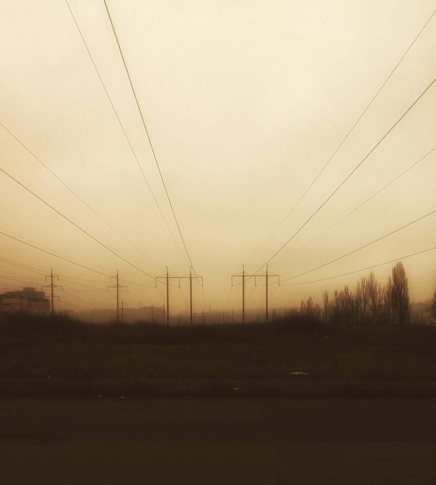 Photograph by westeros