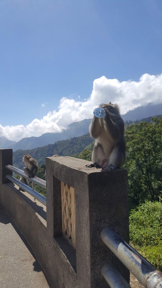 Photograph by De-Anne Cole