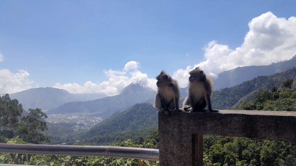 Photograph by De-Anne Cole