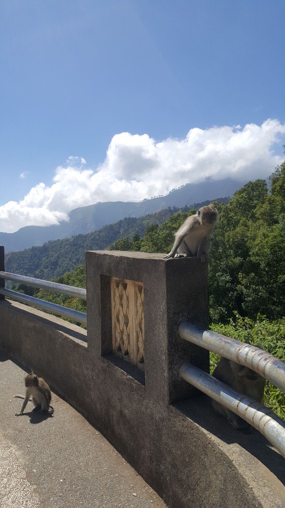 Photograph by De-Anne Cole