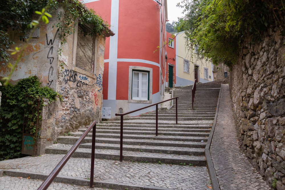 Фотография автора Александр Сергиенко