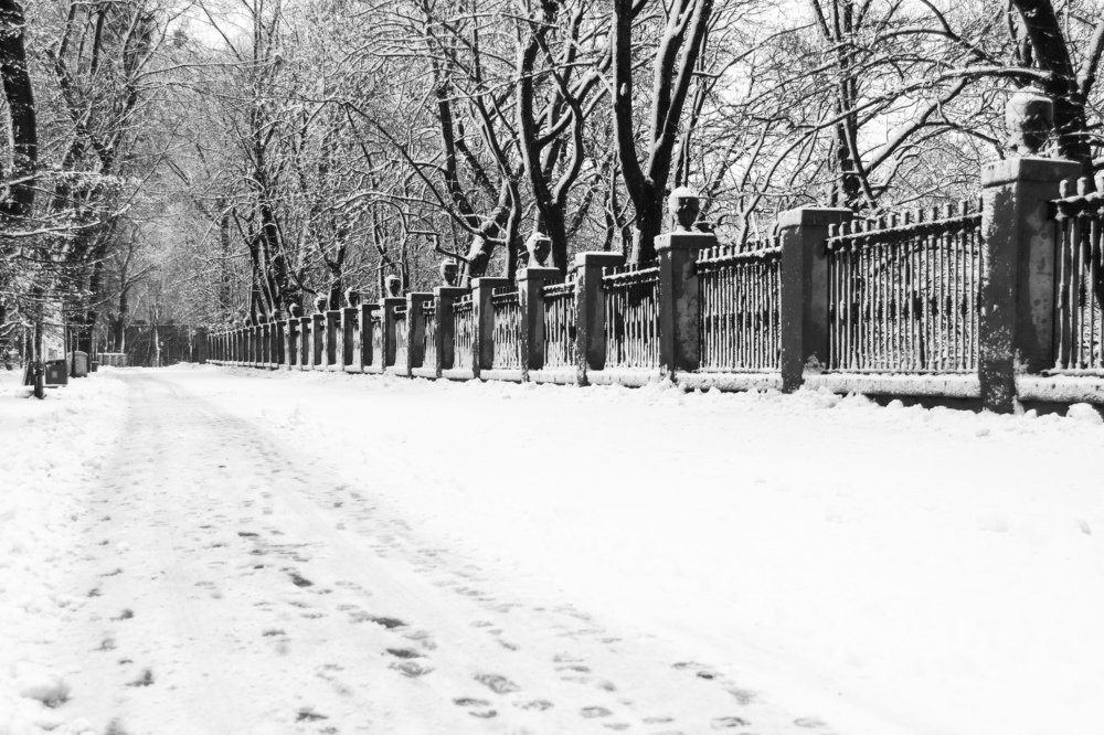 Фотография автора Александр Сергиенко
