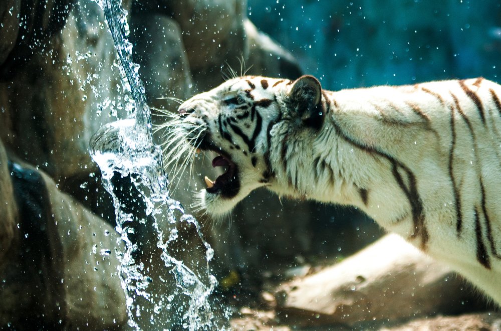 Photograph by Jose Dominguez