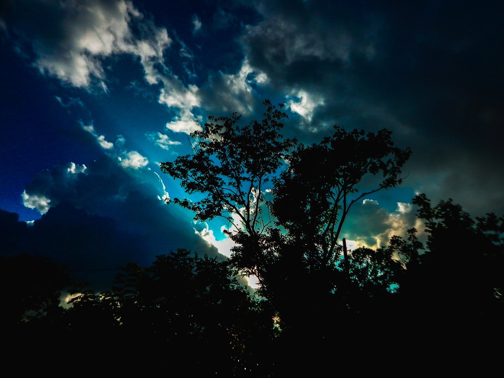 Photograph by Om Sharma