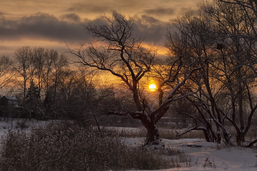 Photograph by Александр Канцур