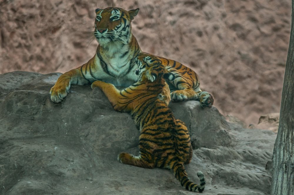 Photograph by Jose Dominguez