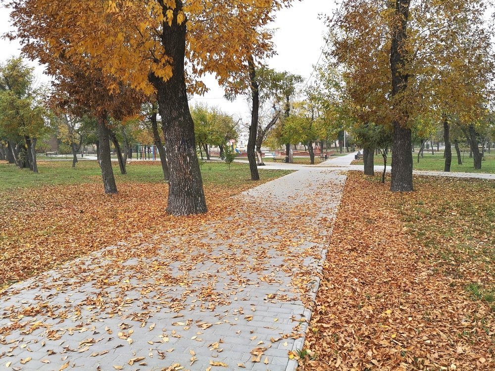 Городской парк....Осень