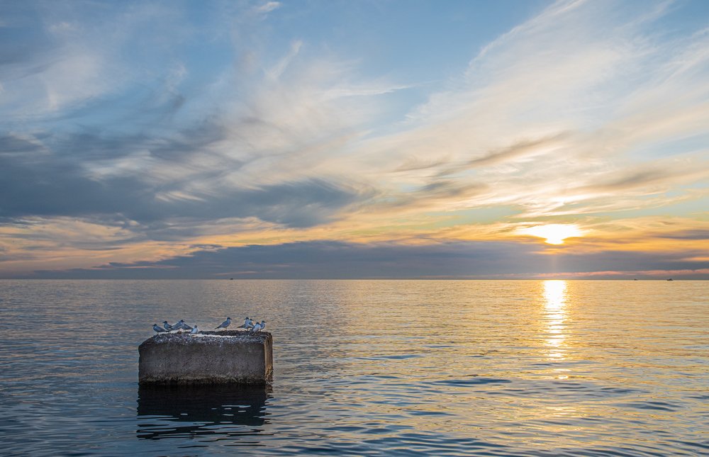 Photograph by Павел Крылов