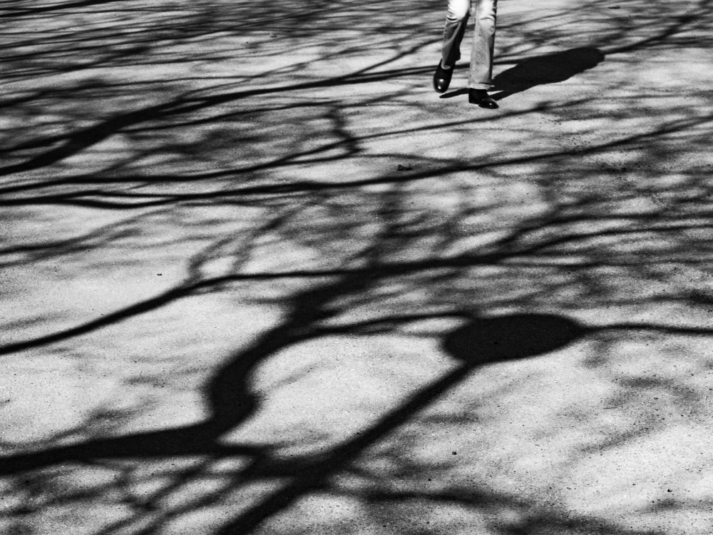 Photograph by Мария Ковалевская