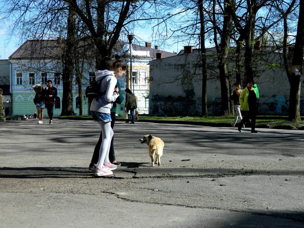 Photograph by Сергей Рапопорт