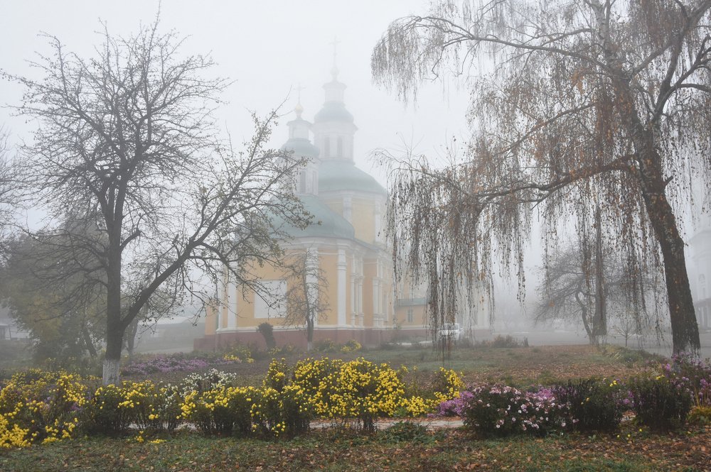 Photograph by Елена Куннова